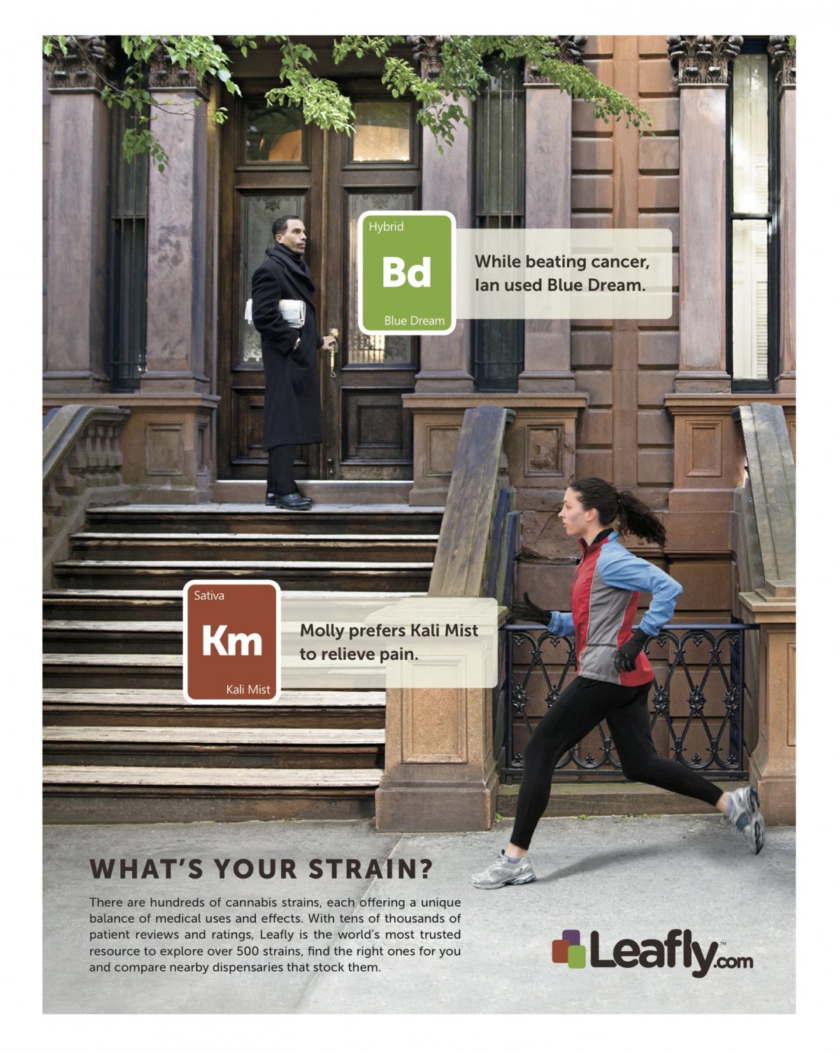 Marijuana Advertising Peter Levitan & Co.