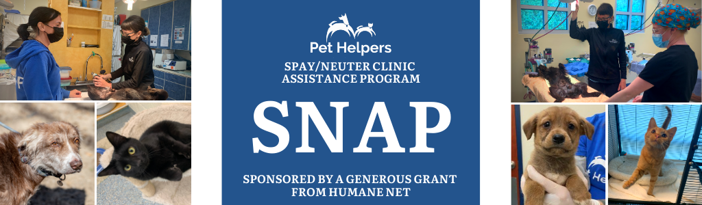 Look at the lifetime costs of a companion animal in order to determine whether you can provide the care that a pet deserves. Snap Pet Assistance Program Pet Helpers