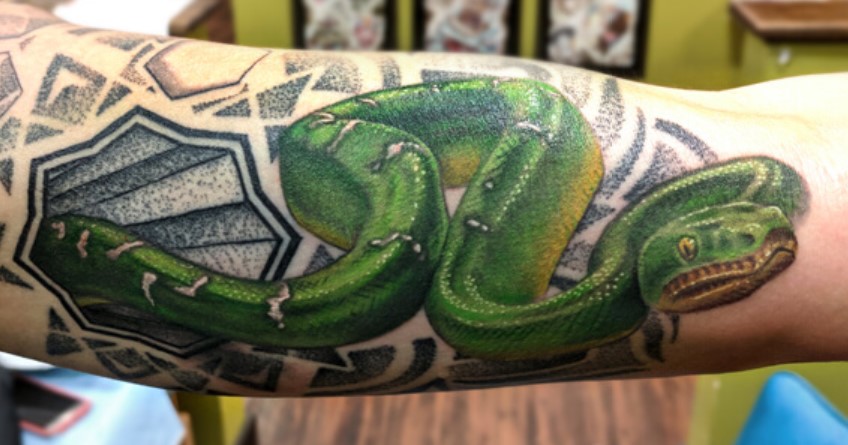16 Best Python Tattoo Design Ideas - Petpress 445_x_848_jpg