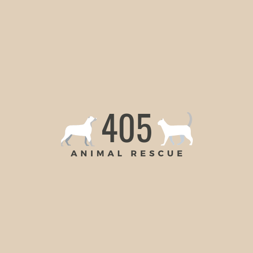 All the dogs are cared for in warm, loving, foster homes. Adopt 405 Animal Rescue