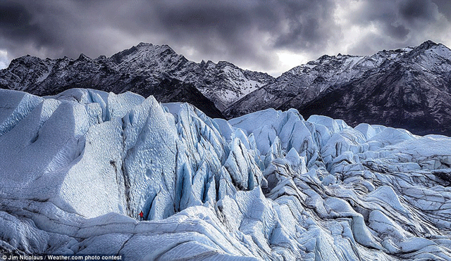 Hal ini juga diikuti peningkatan kontribusi. Ada Foto Indonesia dalam Daftar 10 Foto Terbaik Dunia 2016