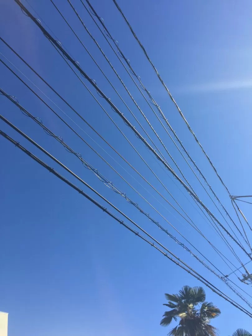 image1_2.jpeg