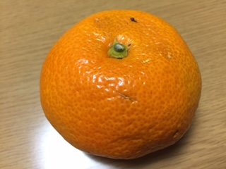 image1_37.JPG