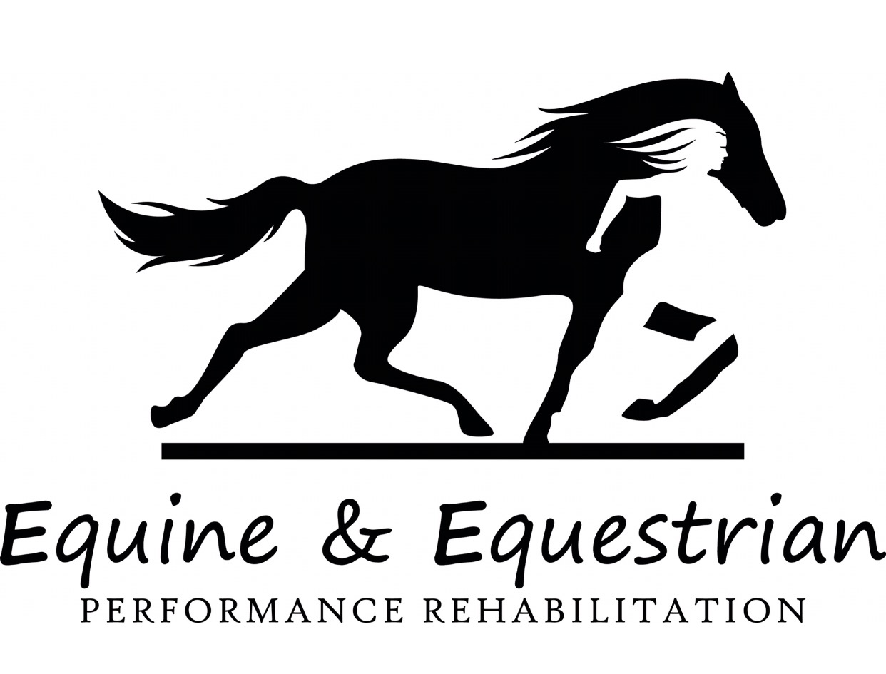 Physio Equine Solutions Equine Equestrian Physical Therapy