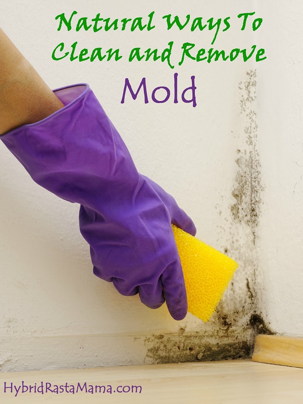 Tips and Tricks to Get rid of Bathroom Mold • Page 7 of 11 • Picky Stitch