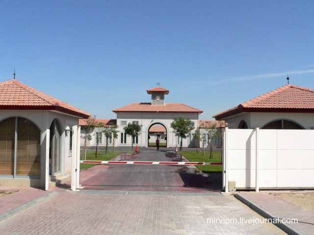 Экскурсия проходит на территории и в конюшне кск «пассаж» в сопровождении нашего опытного конного . Konnaya Nedelya V Arabskih Emiratah Chast 3 Konyushni Shejha