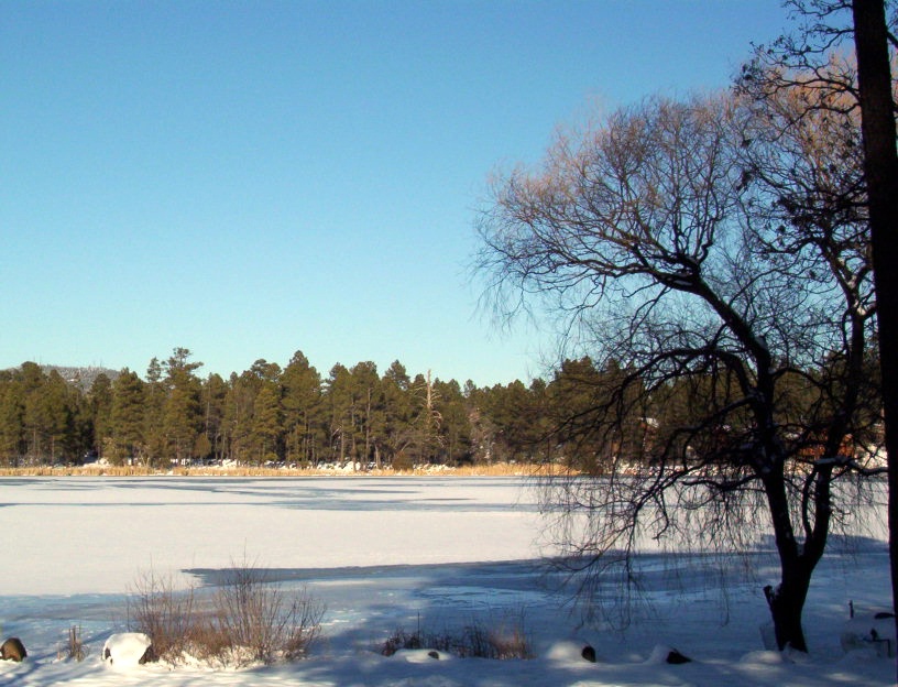 Enjoy the great outdoors and fresh mountain air of payson arizona. Pinetop-Lakeside, AZ : Rainbow Lake, Winter 2006 photo