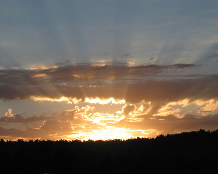 San francisco neighborhoods that are more affordable. Parks, AZ : morning sunrise near Sherwood Forest photo