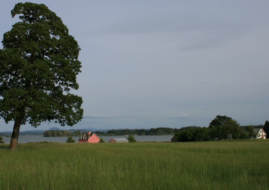 Furber farm · hc event center milaca · camrose hill . Veneta, OR : Barn on Fern Ridge Lake photo, picture, image