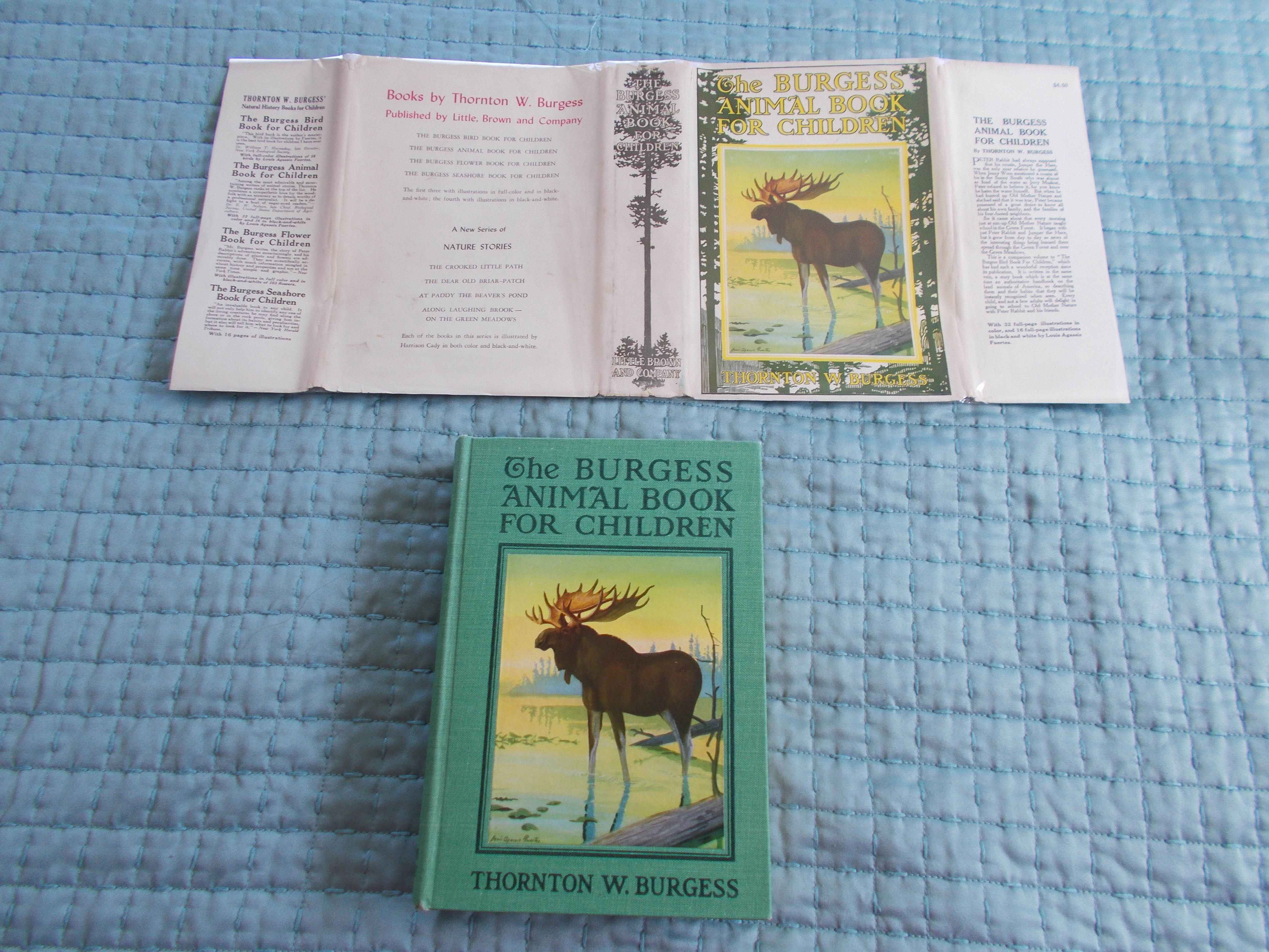 It’s that intangible ingredient that designers strive to include when creating interactions. The Burgess Animal Book For Children By Burgess Thornton Fine 1920 24th Printing 1948 Dan S Books