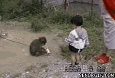 kBlniozle.gif