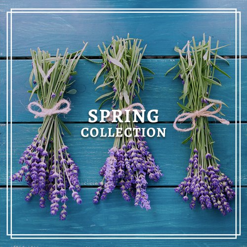 Make a thorough inspection before buying a fresh christmas tree. The Pinery | The Pinery