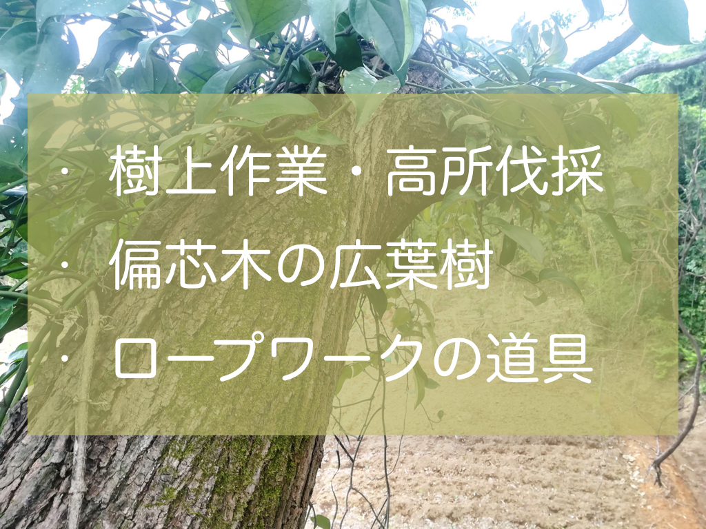 樹上作業