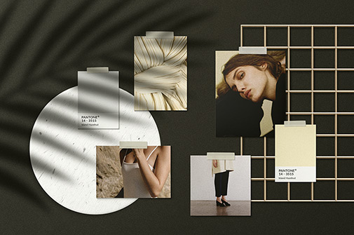 A small mood board showcase for presenting brand designs. Realistic Mood Board Mockups Download Mockup Scenes