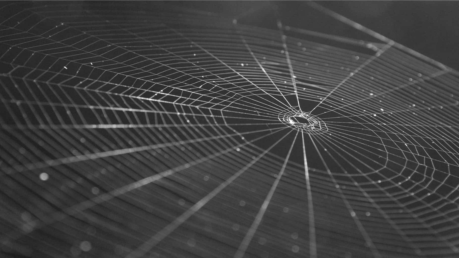 10 Amazing Rules of Photography