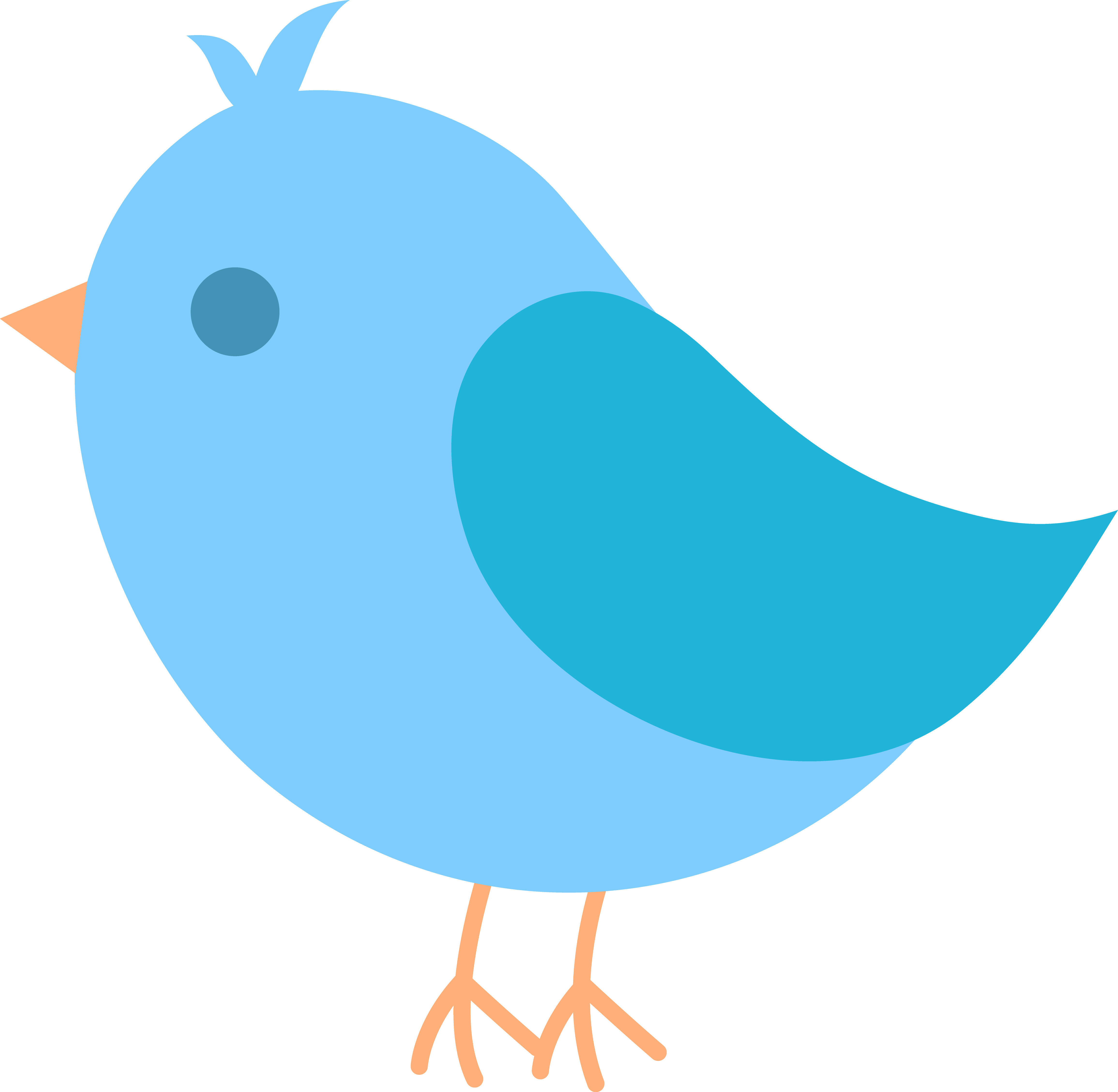 Sure, we keep them as pets. Drawing Of A Blue Bird On A White Background Free Image Download