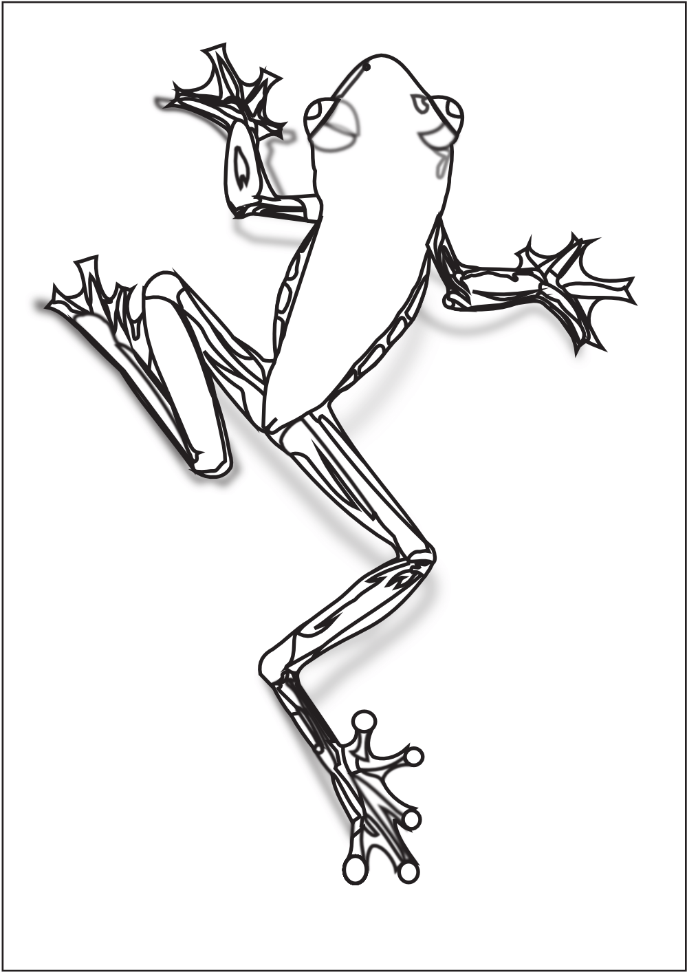 He's super cute and super easy. Tree Frog Pencil Drawing Free Image Download