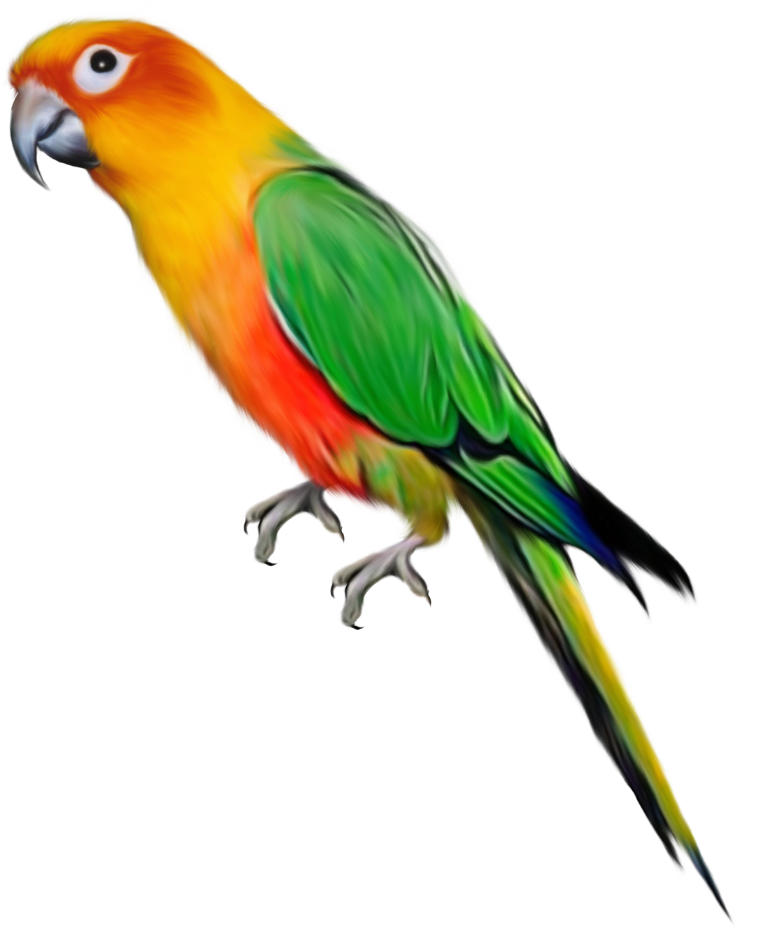 In march 2019 dury appeared on the fat white family single tastes good with the money, also appearing in the video. Colored Parrot On A White Background Free Image Download