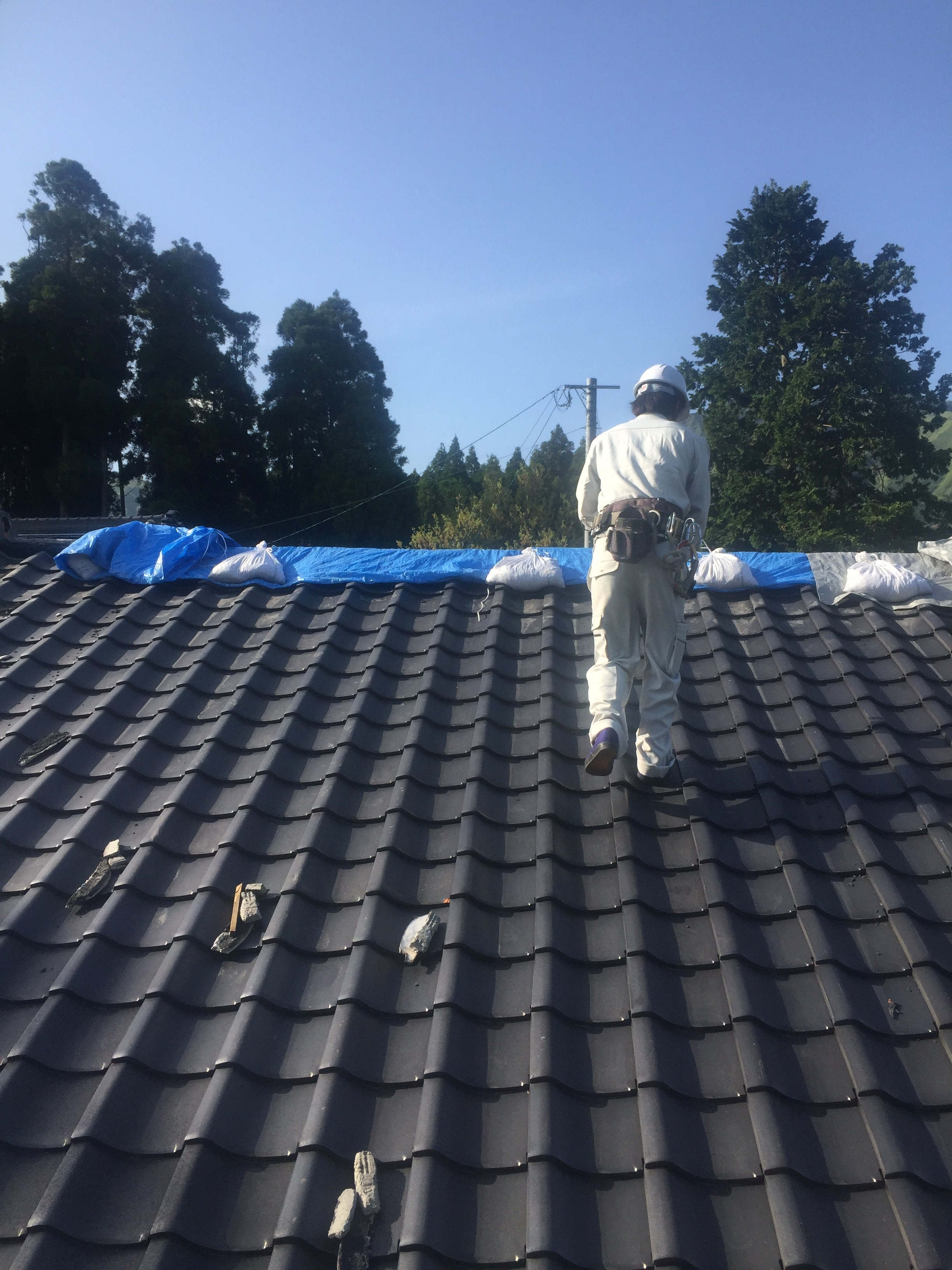 熊本（南阿蘇）