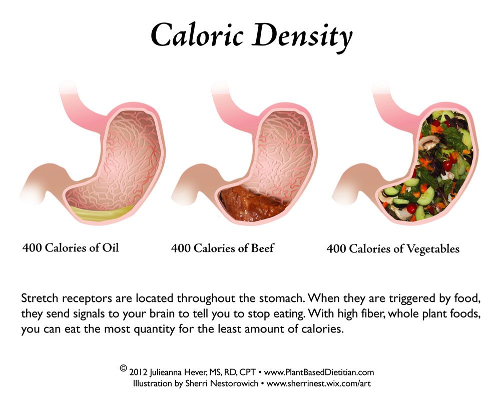 While it's tempting to stay inside of your comfort zone, it's important to occasionally break free and taste something different. Losing Weight on a Vegan Diet - Plant Based Dietitian