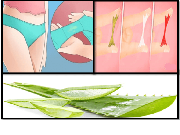 Aug 24, 2018 · candidiasis is an infection with candida. Remedio Casero Para Eliminar Flujo Vaginal Y Infecciones