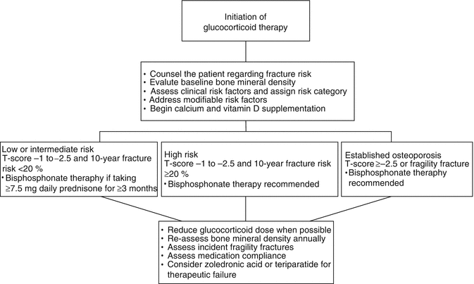 Treatment and Prevention of Glucocorticoid-Induced Osteoporosis ...