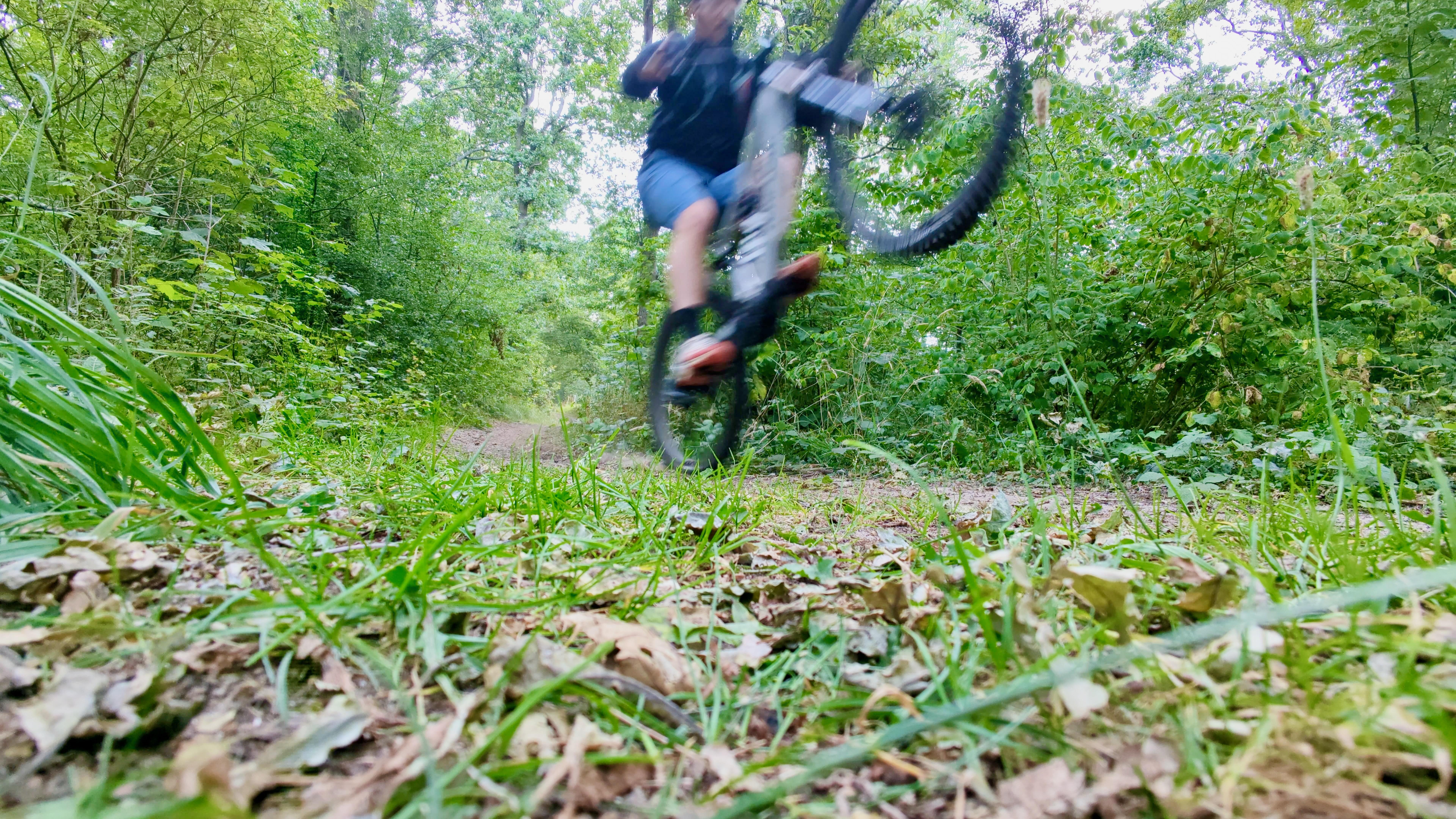 Fine, electric mountain bikes don’t suck