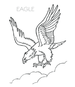 ٩ ذو الحجة ١٤٢٩ هـ. Eagle Coloring Pages Playing Learning
