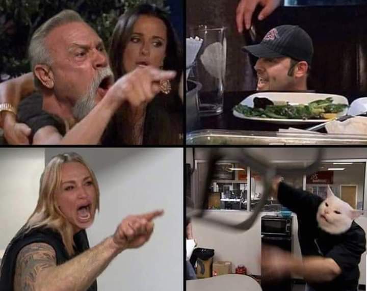 We are surrounded by matter. "Woman Yelling At Cat" Meme Refuses To Die And We're Not