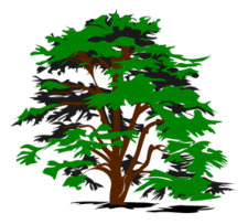 5000+ vectors, stock photos & psd files. Tree Vector Free Ai Svg And Eps