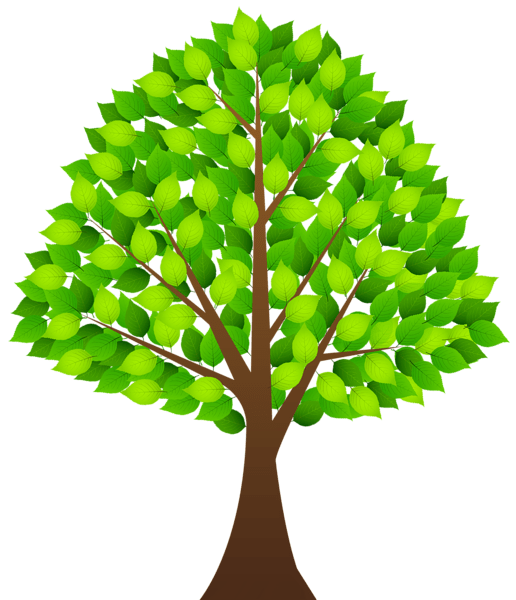 Pngtree provides free royalty free png clipart vectors and psd files. Tree Png Images Pictures Download Free