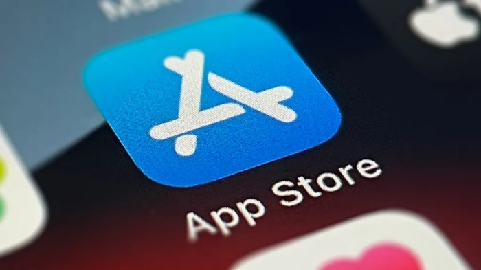 Como baixar aplicativos no iPhone? Um guia completo sobre a App Store ... Como baixar aplicativos no iPhone? Um guia completo sobre a App Store ...