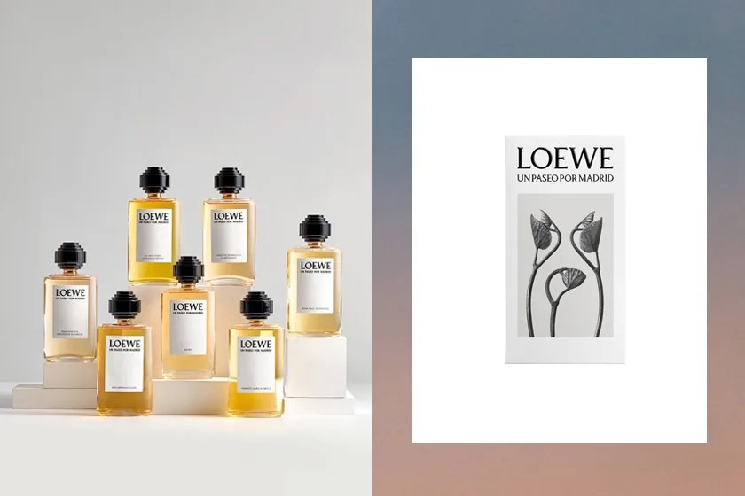 spanish perfume loewe