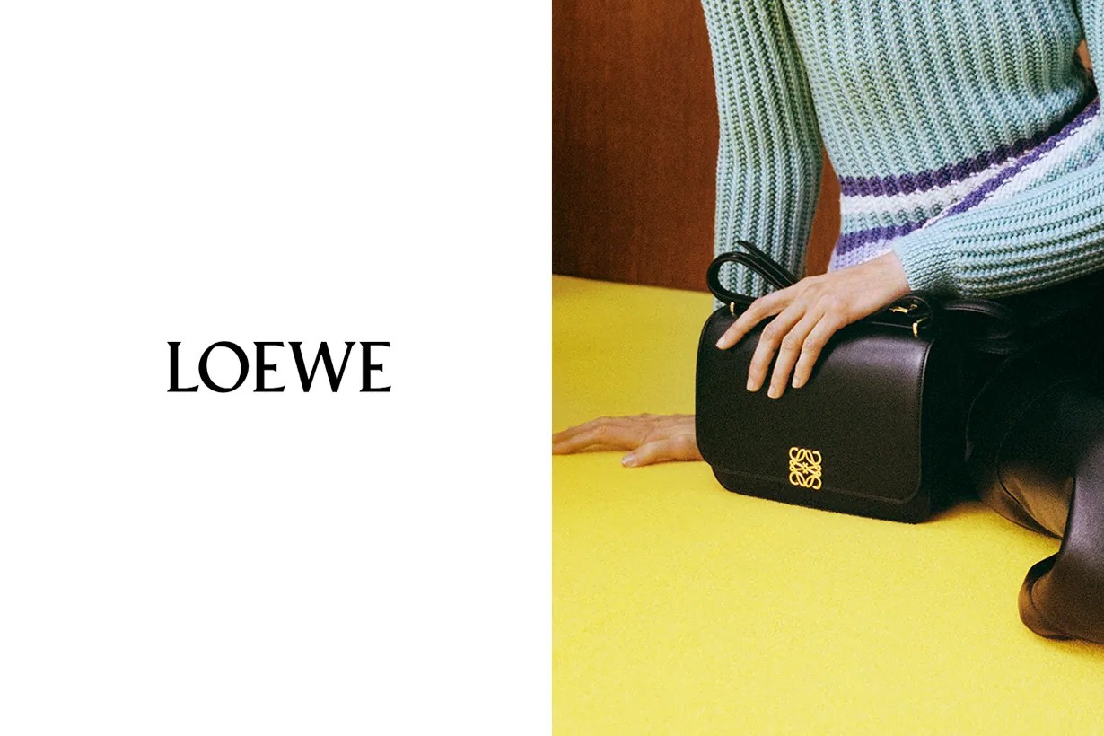 loewe goya bag 2021