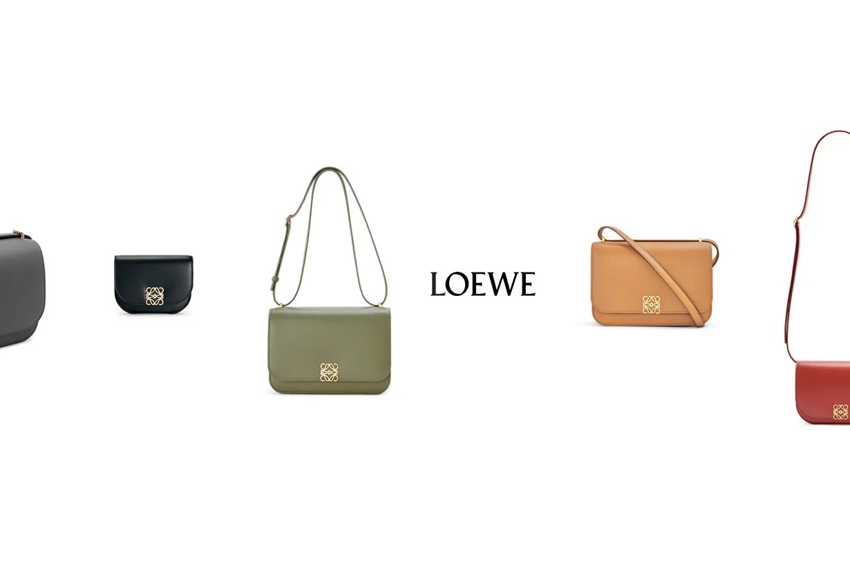 loewe goya 4