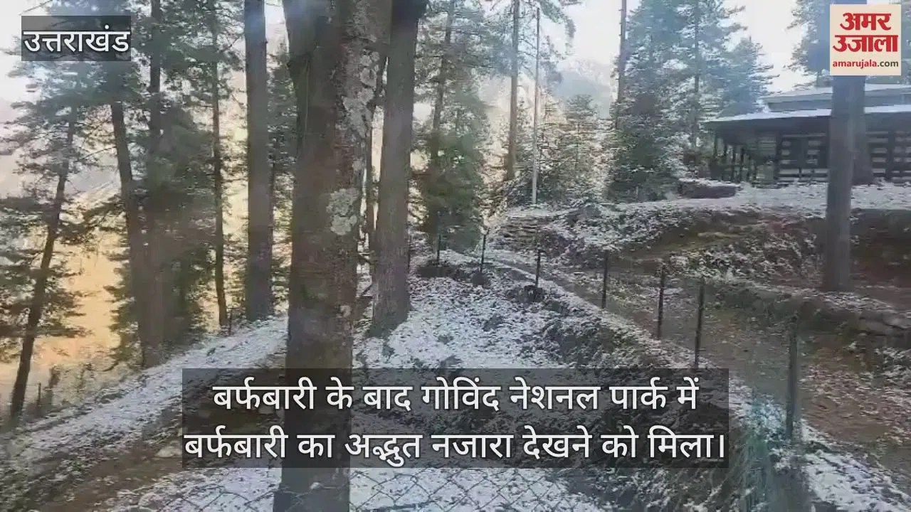 Video : Snowfall In Govind National Park Uttarkashi Uttarakhand News In Hindi – Amar Ujala Hindi News Live