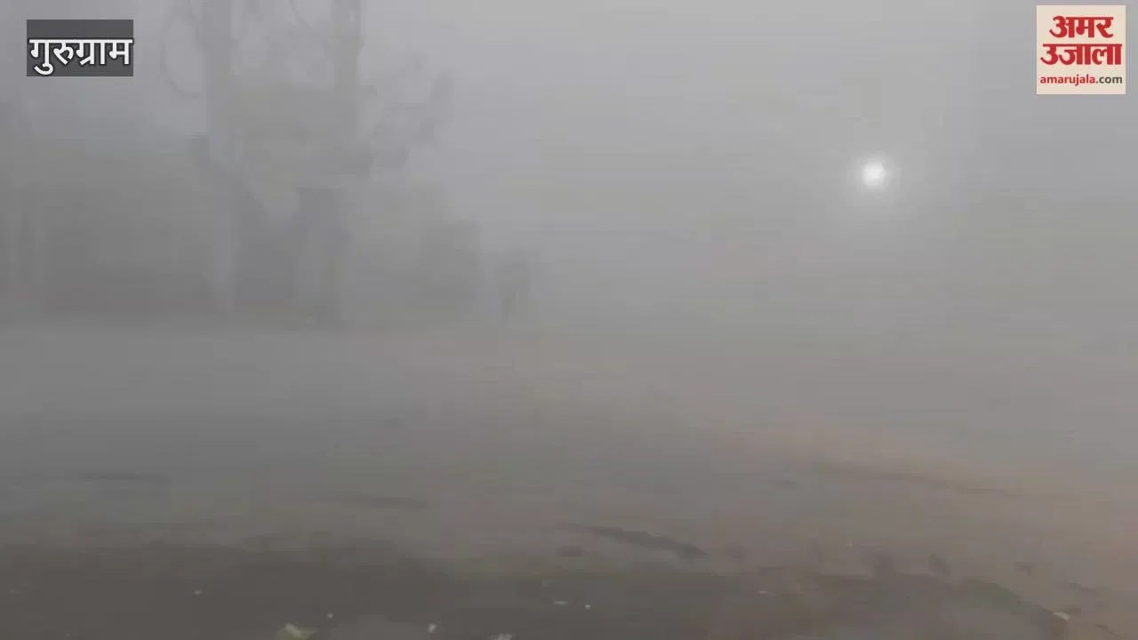 सफेद चादर से ढका गुरुग्राम: घने कोहरे का कहर, ग्रामीण क्षेत्रों में ज्यादा असर; सड़कों पर रेंगते दिखे वाहन  Latest Haryana News