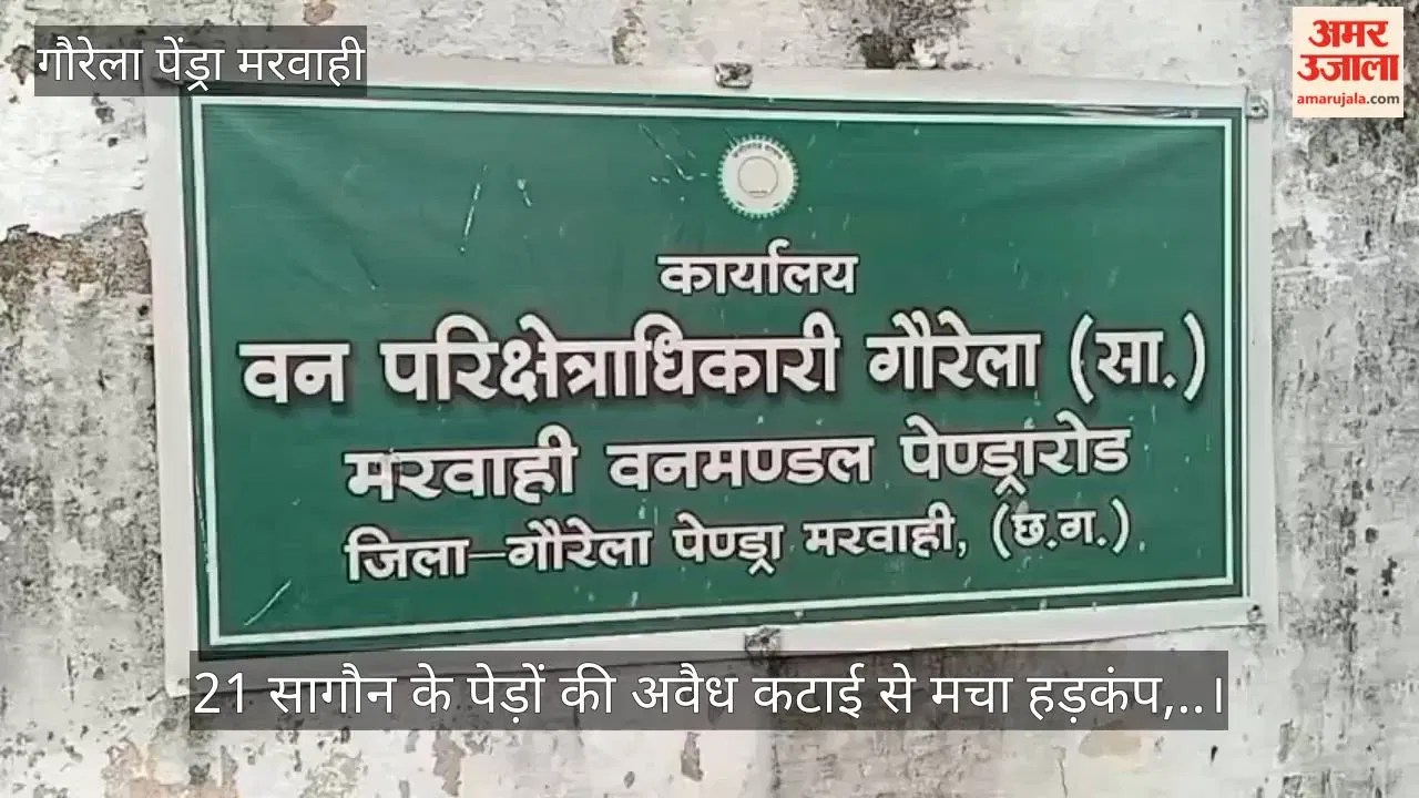सीजी- गौरेला-पेंड्रा-मरवाही: रात के अंधेरे में काटे 21 सागौन के पेड़, लकड़ी नहीं ले जा सके आरोपी,निगरानी पर उठे सवाल – INA
