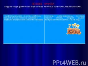 Prezentaciya na temu moya budushchaya professiya progra — иллюстрация 55