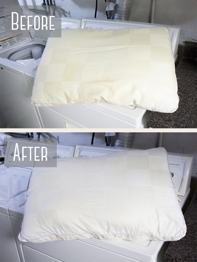 Cleaning Sofa Cushions In Washing Machine Baci Living Room