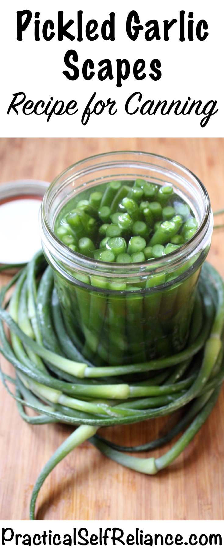 Pickled Garlic Scapes
