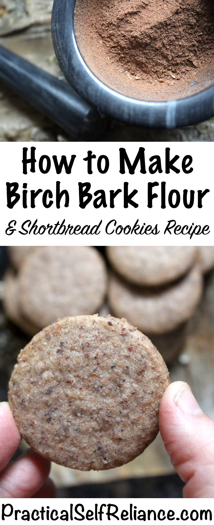 How to Make Birch Bark Flour