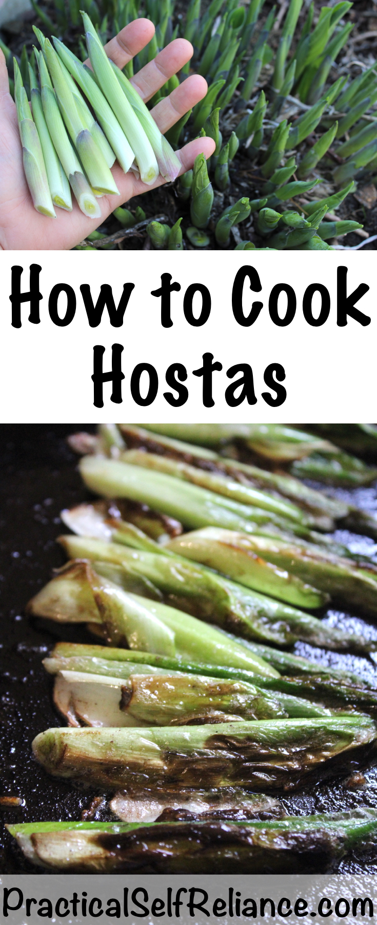 How to Cook Hostas