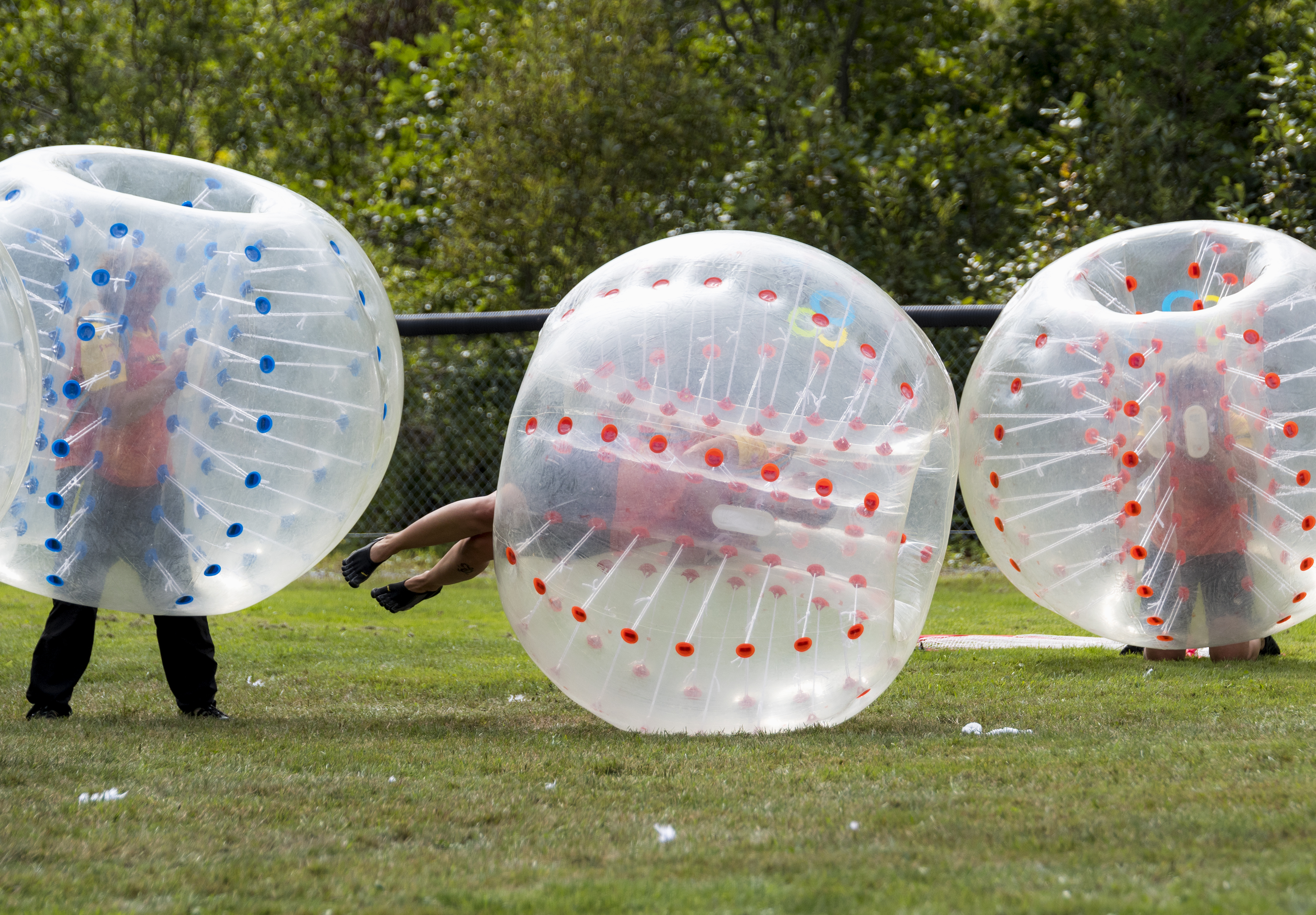 Tazer ball, lancer de thon, lutte de doigts… 25 sports méconnus qu’on  aimerait bien voir aux JO - Neonmag.fr