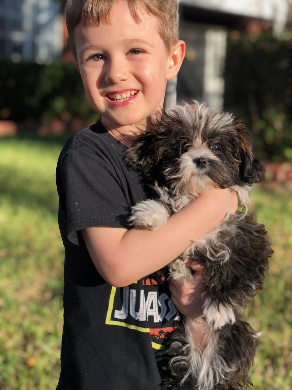 puppy training Austin