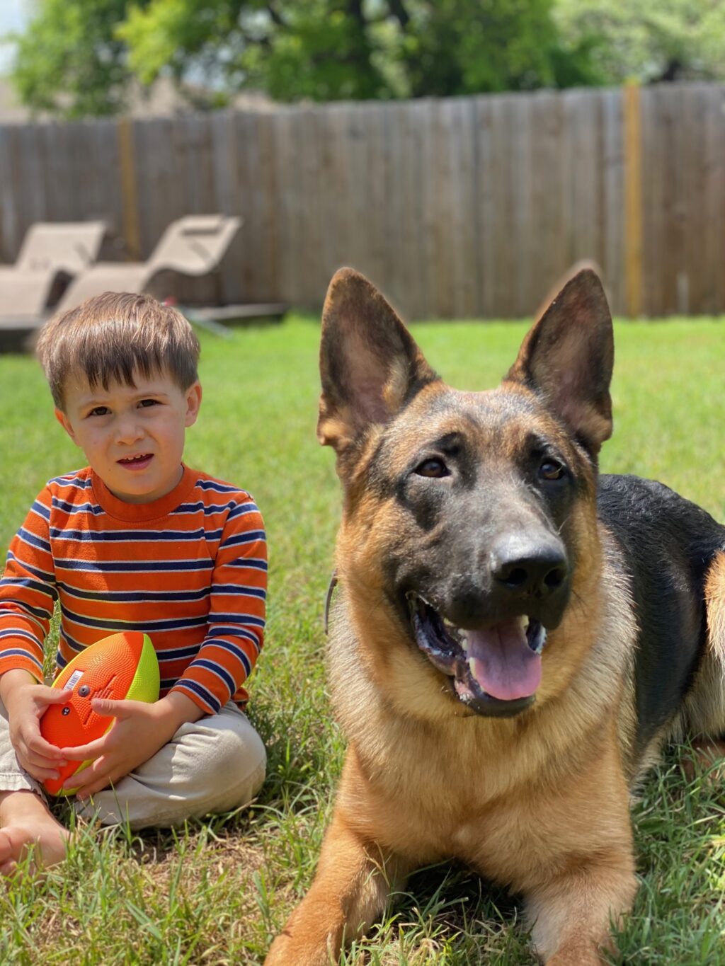 Austin puppy training