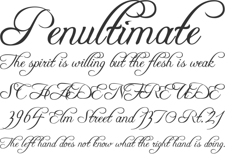 Blue Extra Calligraphy Handwriting Stereoscopic Typography