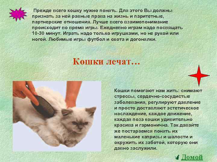 Всемирный день кошек презентация детям дошкольного возраста. Развлечение «1 марта-Всемирный день кошек» (подготовительная группа)-фотоотчет