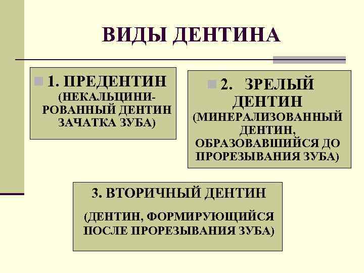 Соединительная ткань функционального элемента зуба. Полость зуба заполненная рыхлой тканью называется Из чего состоит человеческий зуб