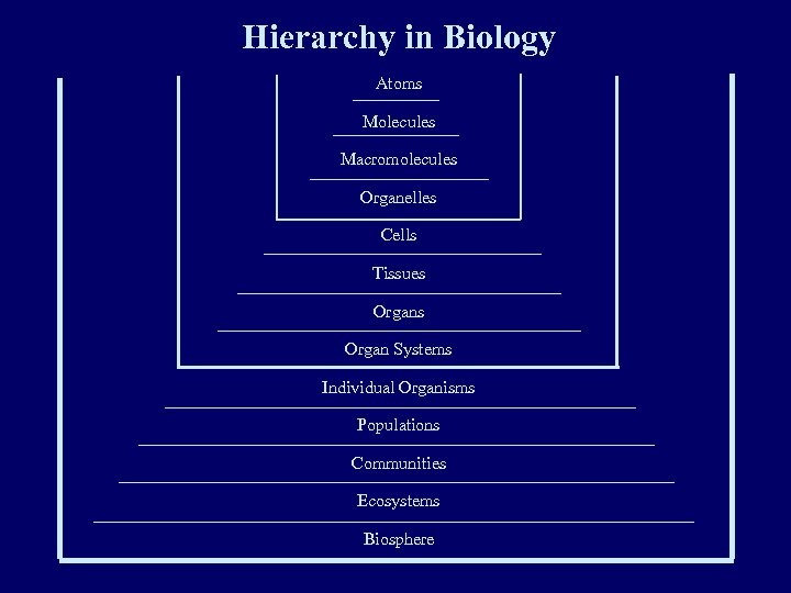 Role Of Computer And Information Science In Biology